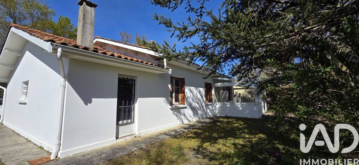 Photo 1 - Maison à MARGAUX