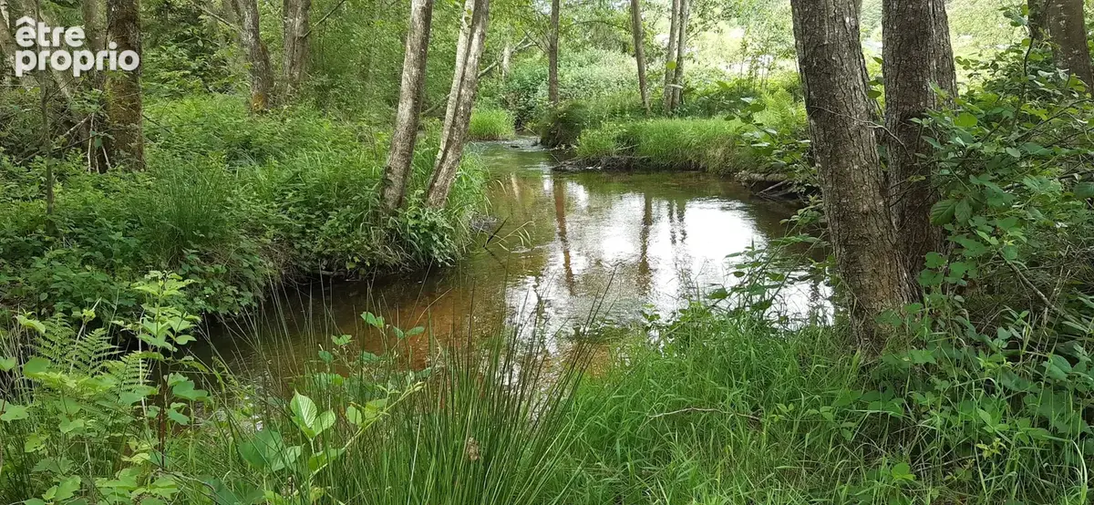 Etangs, Chalets : Domaine de 3 ha avec 3 étangs vidangeables - photo 6