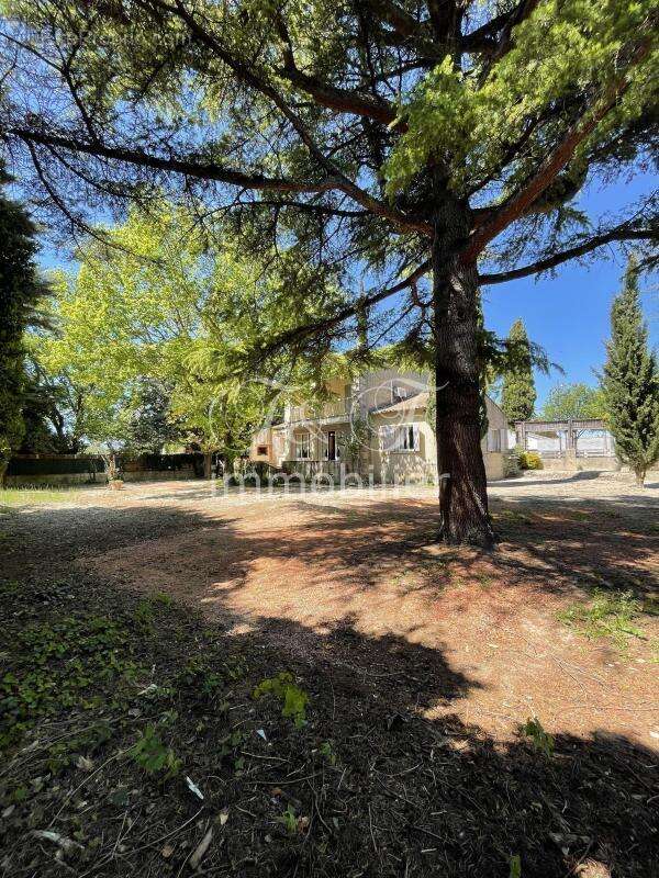 Maison à L'ISLE-SUR-LA-SORGUE