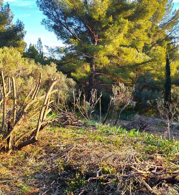Terrain à TOULON