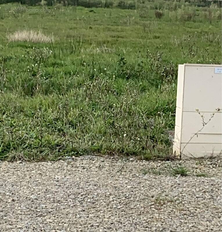 Terrain à SAINT-VIAUD