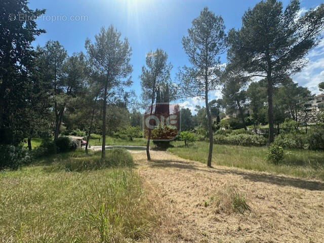 Terrain à SAINT-CLEMENT-DE-RIVIERE