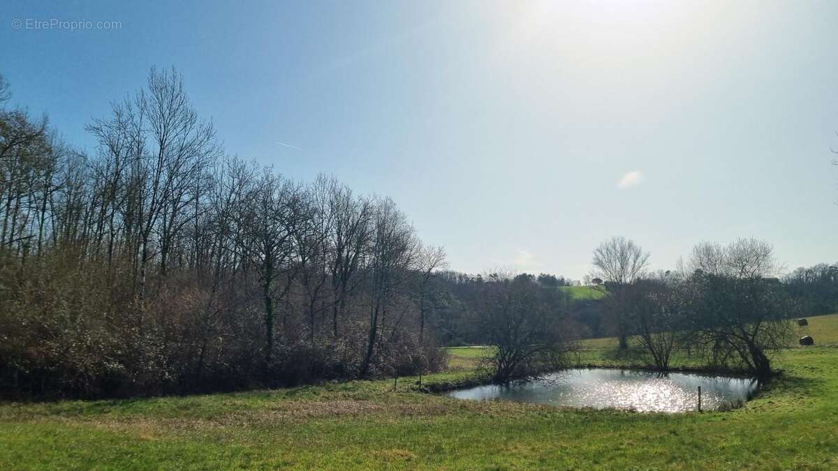 Terrain à DOUVILLE