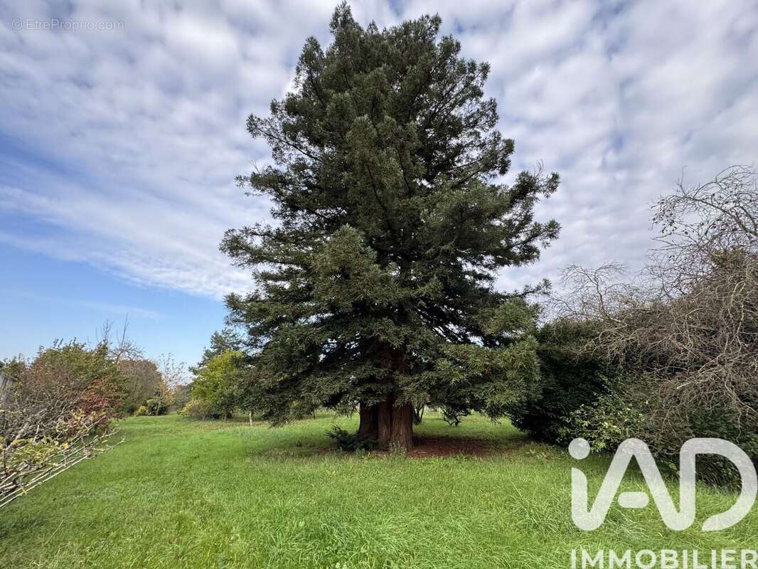 Photo 8 - Terrain à CHABRIS