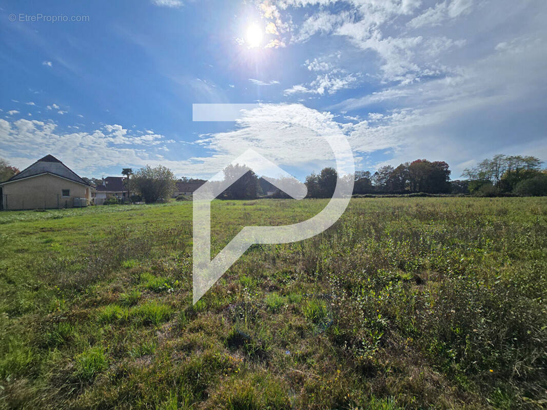 Terrain à HAGETAUBIN