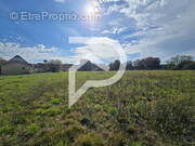 Terrain à HAGETAUBIN