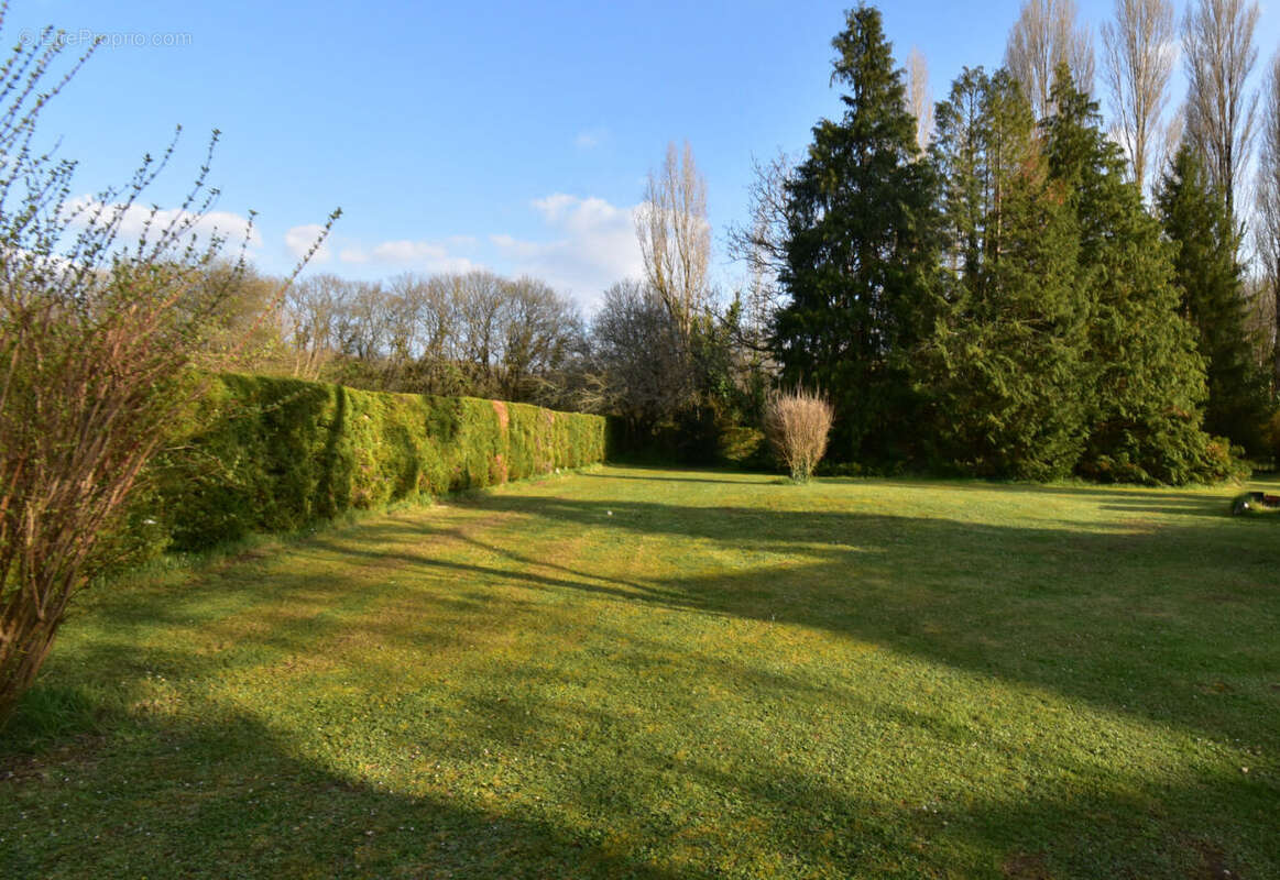 DSC_0069 - Maison à L&#039;ISLE-D&#039;ESPAGNAC