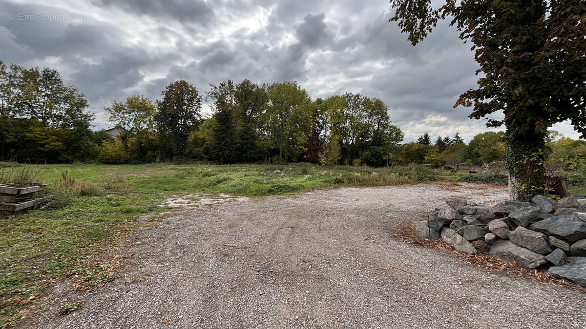 Terrain à SCHWENHEIM