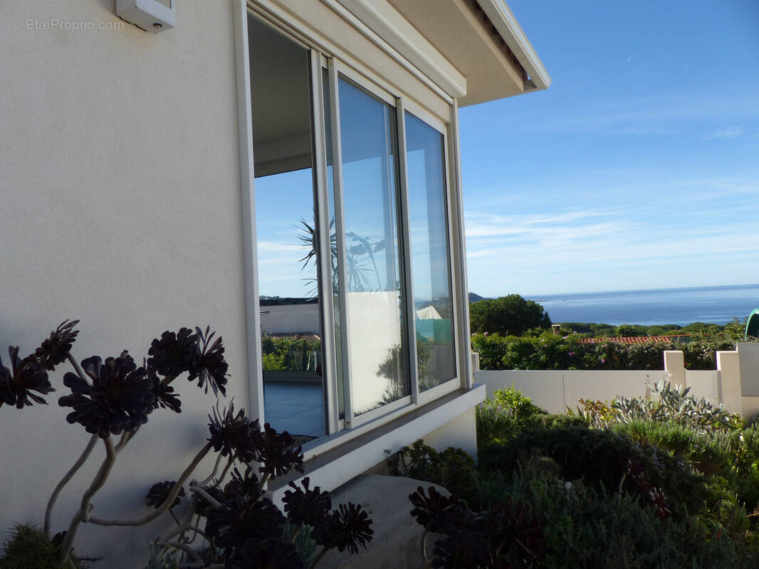 Maison à ALBITRECCIA