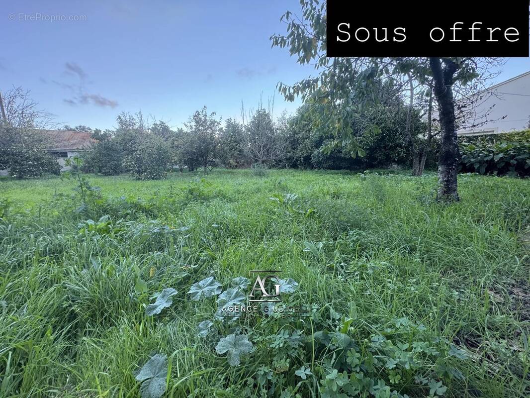 Terrain à SERRA-DI-FIUMORBO