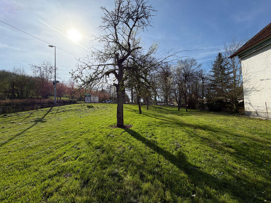 Maison à WASSELONNE