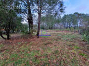 Terrain à BISCARROSSE