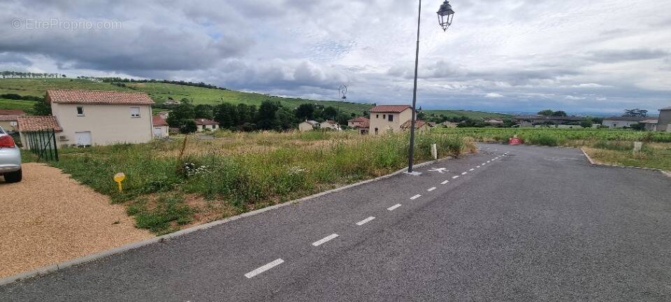 Terrain à FLEURIE