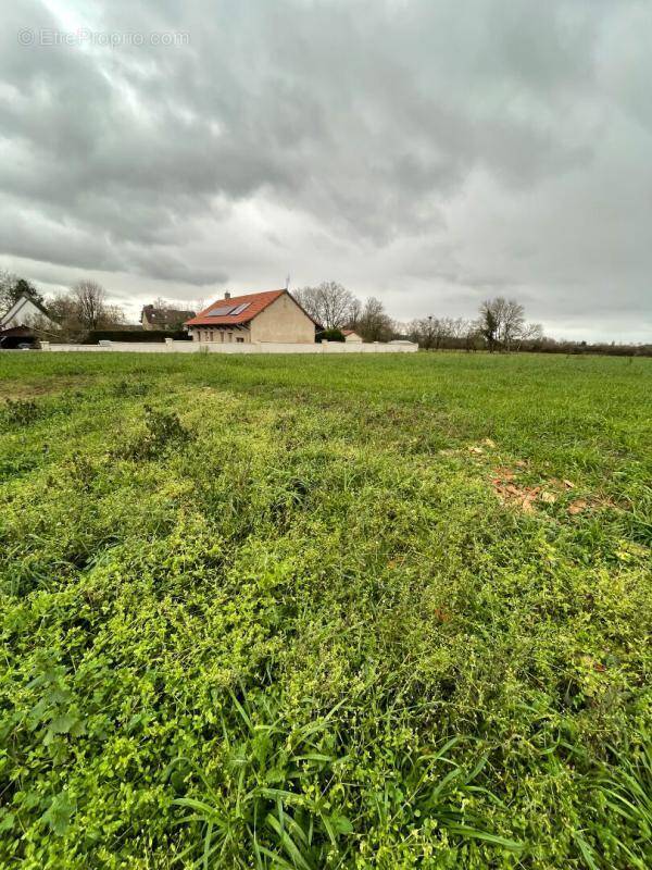 Terrain à L'ABERGEMENT-SAINTE-COLOMBE