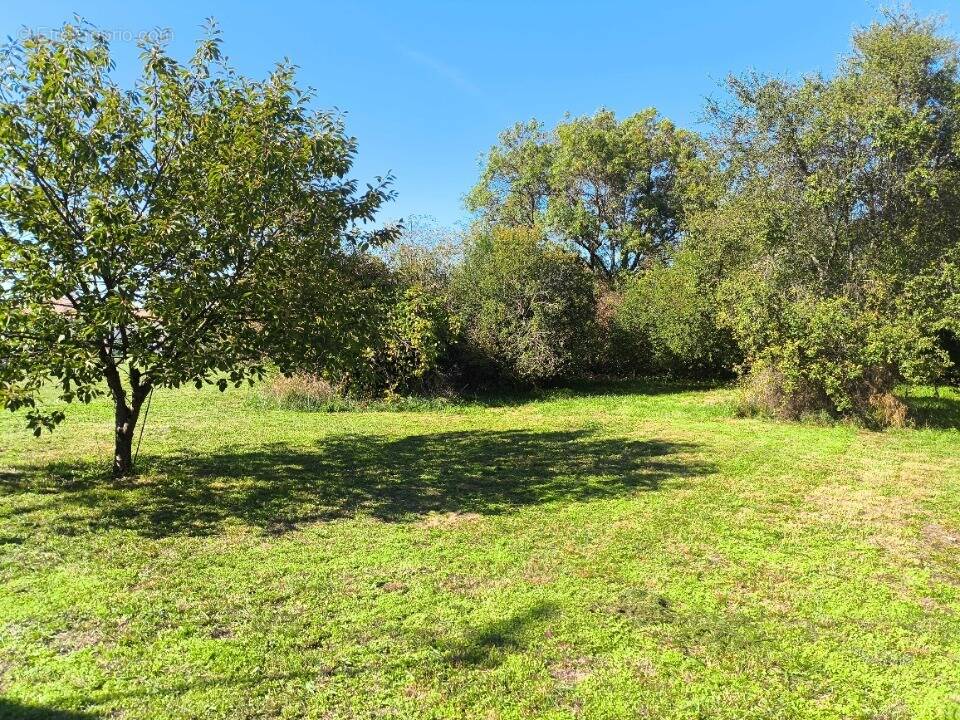 Terrain à COGNAC