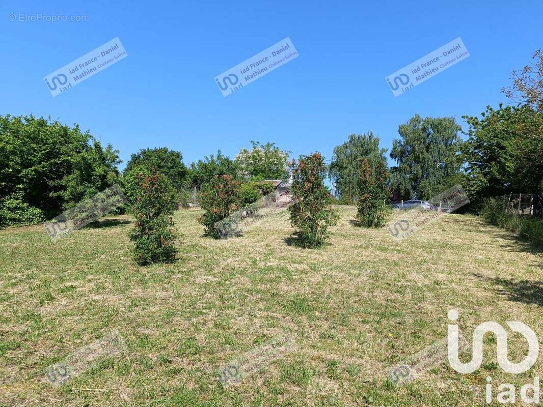 Photo 4 - Terrain à CHATEAU-SALINS