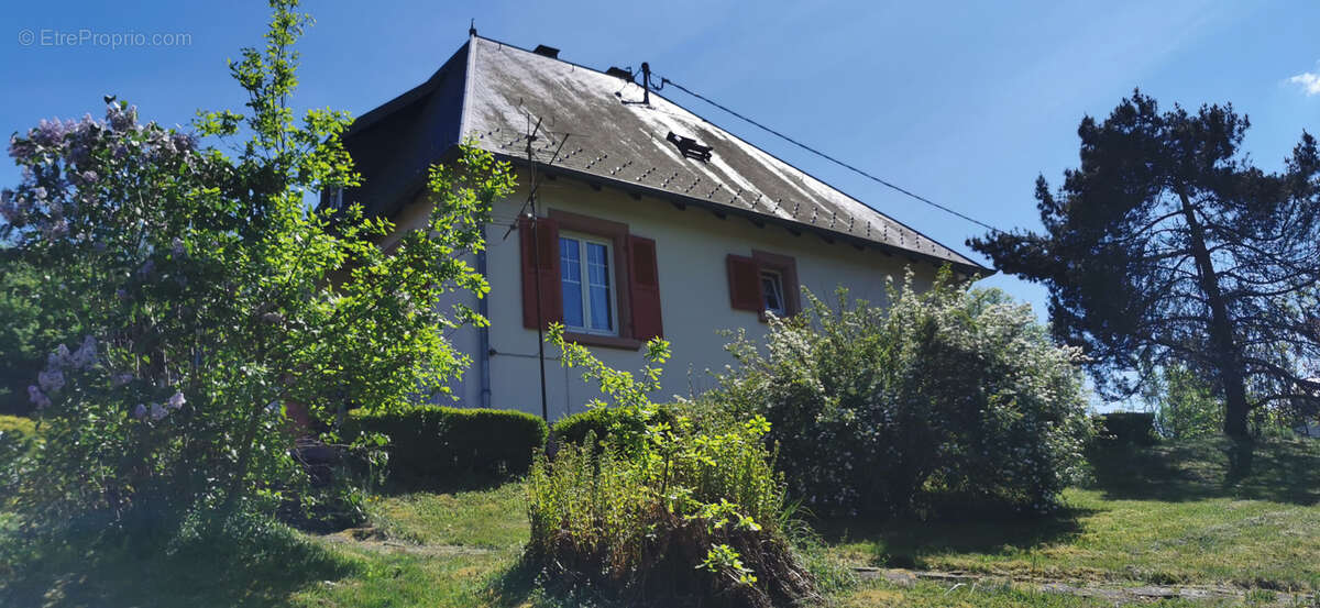 Colroy-La-Roche, maison de caractère des années 1930 sur un terrain de 26 ares - photo 26