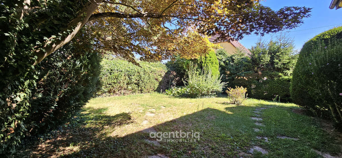 Maison à LUTTERBACH