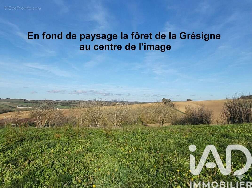 Photo 4 - Terrain à MONTGAILLARD