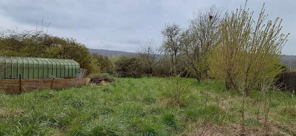 Terrain à BALAIVES-ET-BUTZ