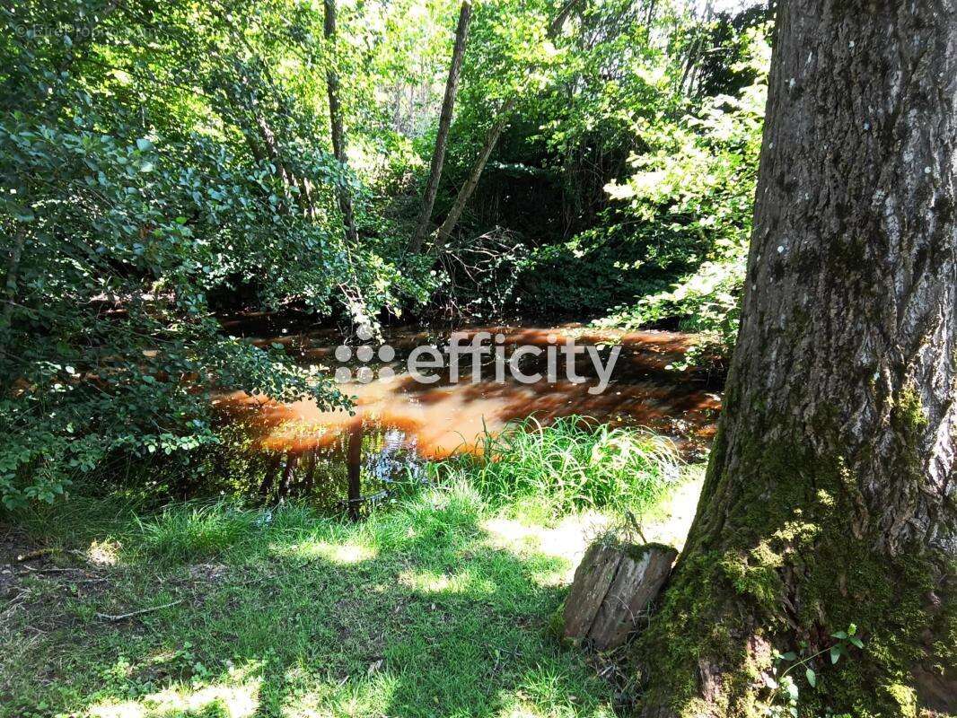 Maison à TOULON-SUR-ARROUX