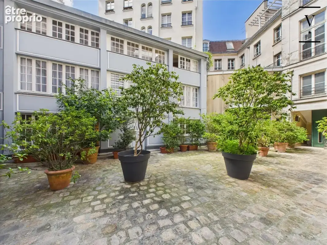 Rue de Seine - photo 14