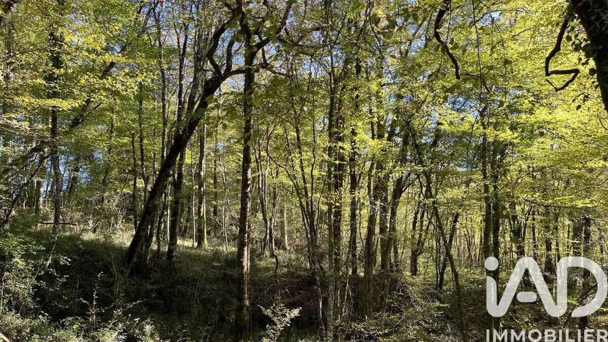 Photo 7 - Terrain à MARGUESTAU