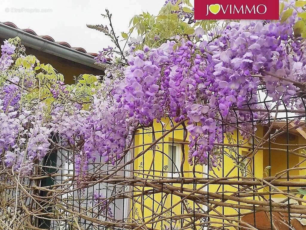 Maison à PEYREHORADE