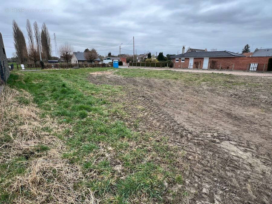 Terrain à HERGNIES