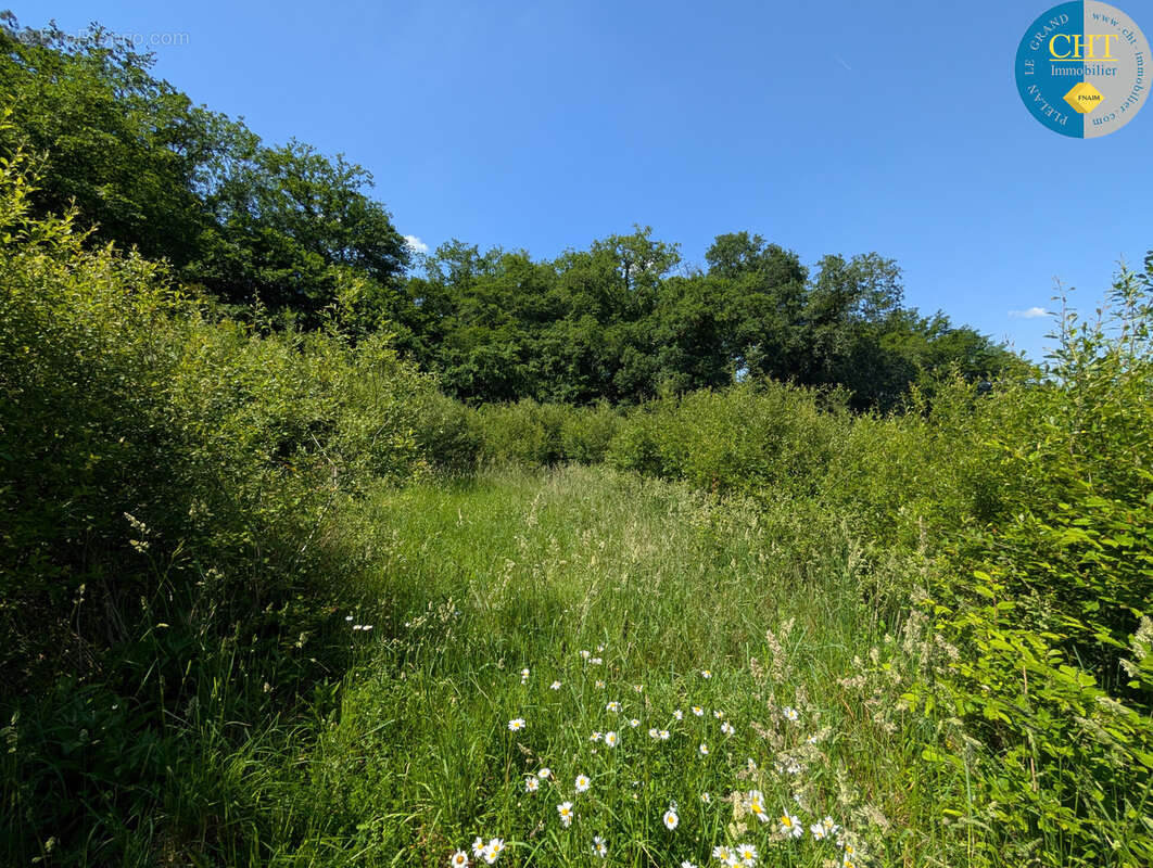 Terrain à BEIGNON