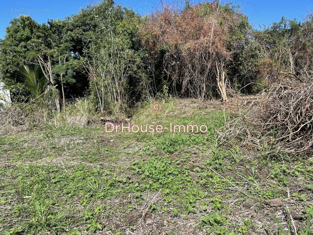 Terrain à VIEUX-HABITANTS