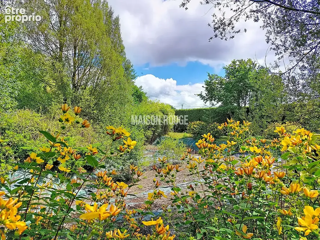 Maison de plain pied au calme de la campagne. - photo 13