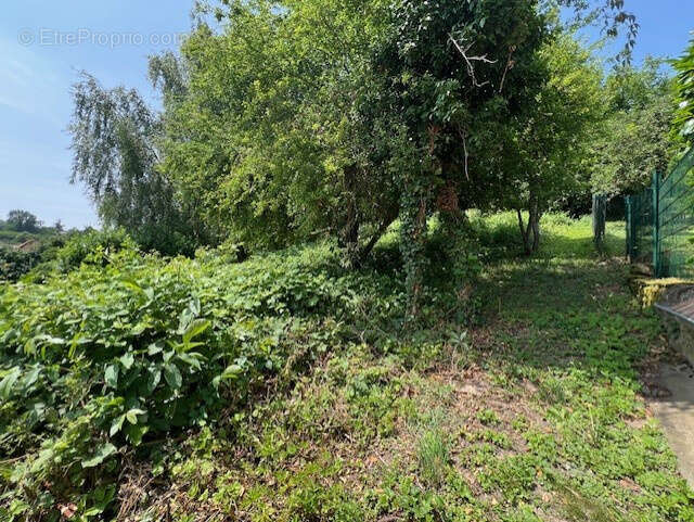 Terrain à NIEDERBRONN-LES-BAINS