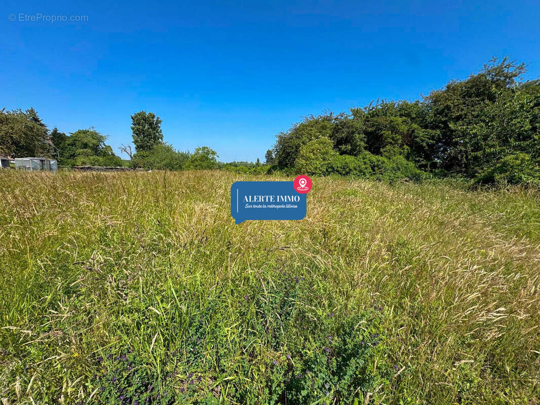 Terrain à LA NEUVILLE