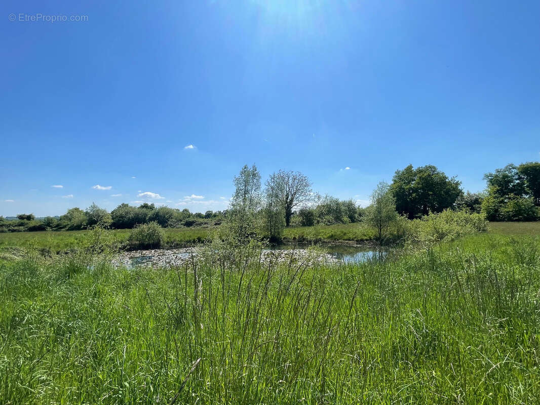 Maison à SABLE-SUR-SARTHE
