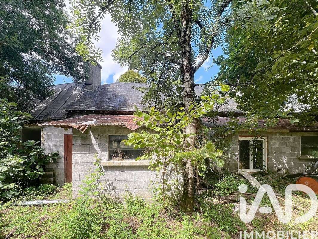 Maison 60 m² à Saint-Germain-Les-Vergnes  - photo 3