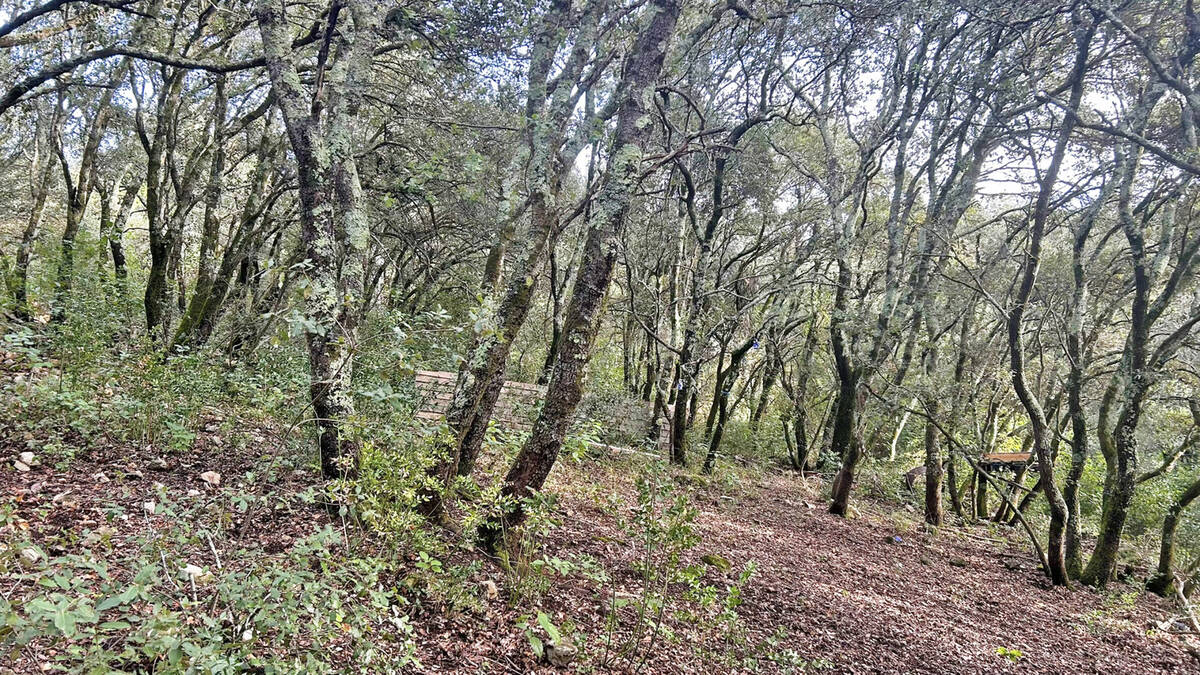 Terrain à CARNOULES
