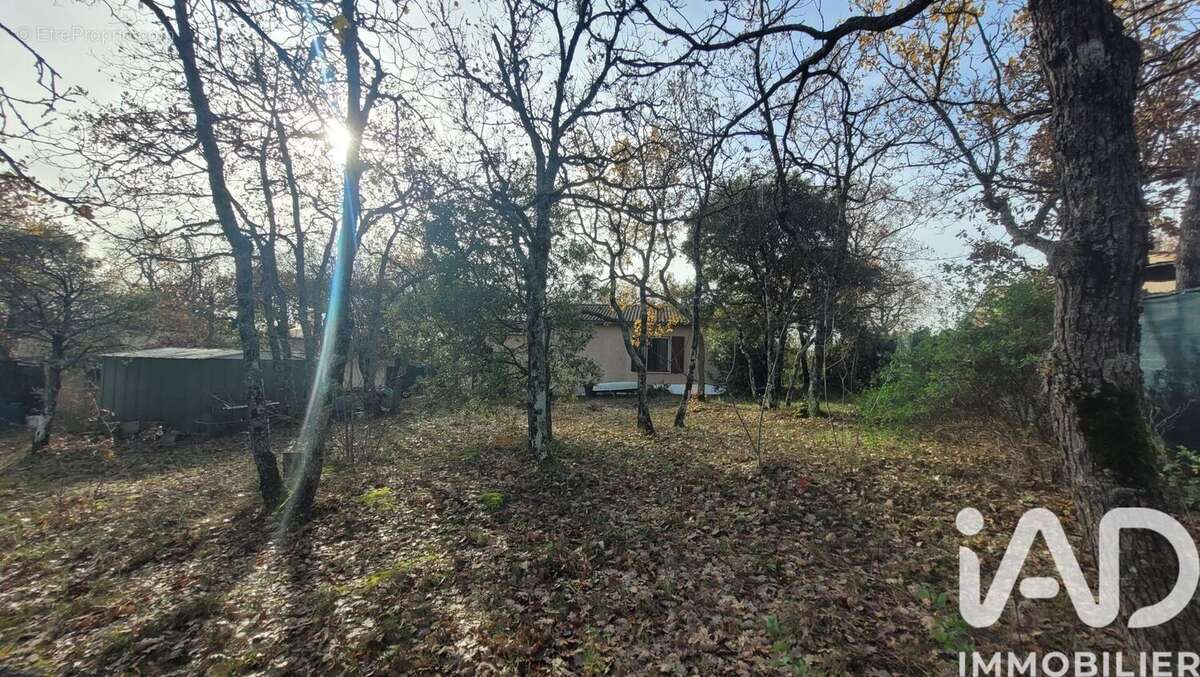 Photo 8 - Maison à REGUSSE