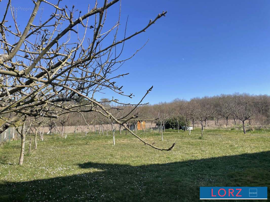 Maison à BERRY-BOUY