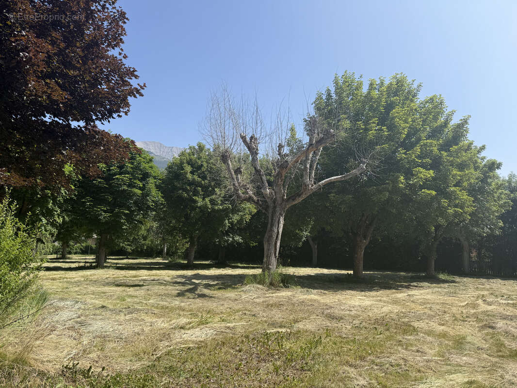 Terrain constructible Barcelonnette - photo 4