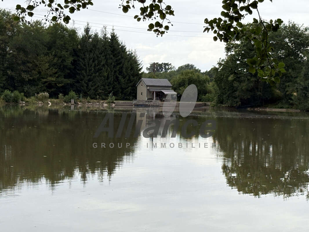Etang  de  7  ha  50  d eau  entre  luxeuil  et  lure  avec  cabane  de  pecheur - photo 4