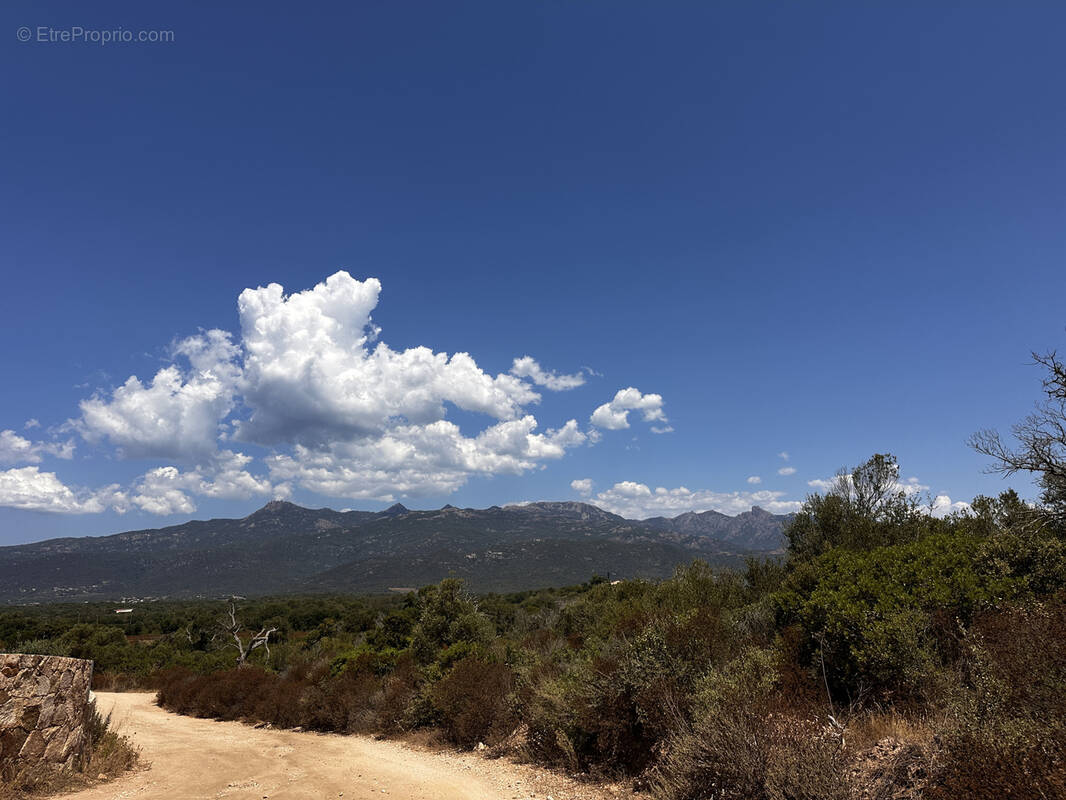 Terrain à FIGARI