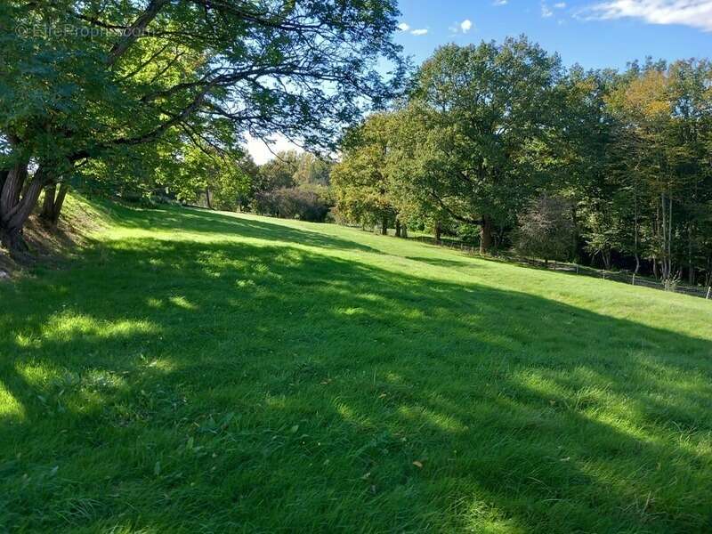 Maison à NEUVY-LE-BARROIS