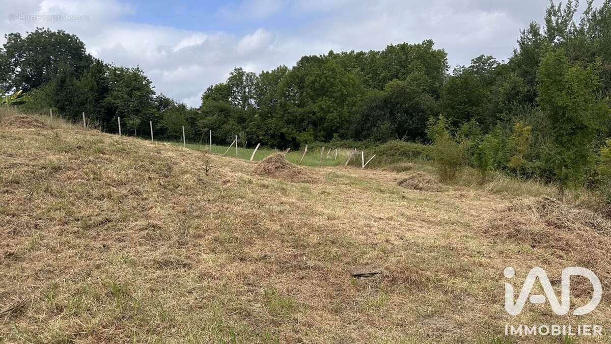 Terrain 540 m² à Arbonne  - photo 3