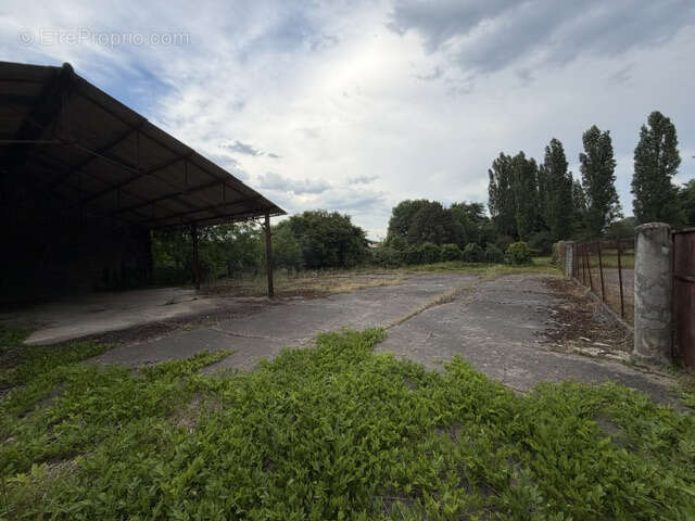 Autre à ENTRAIGUES