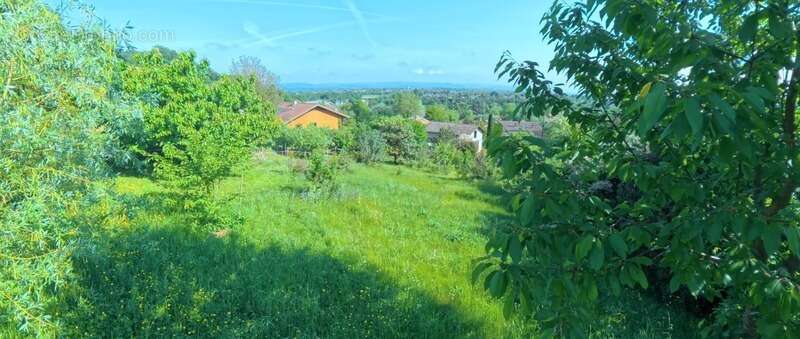 Terrain à SAINT-NAZAIRE-EN-ROYANS