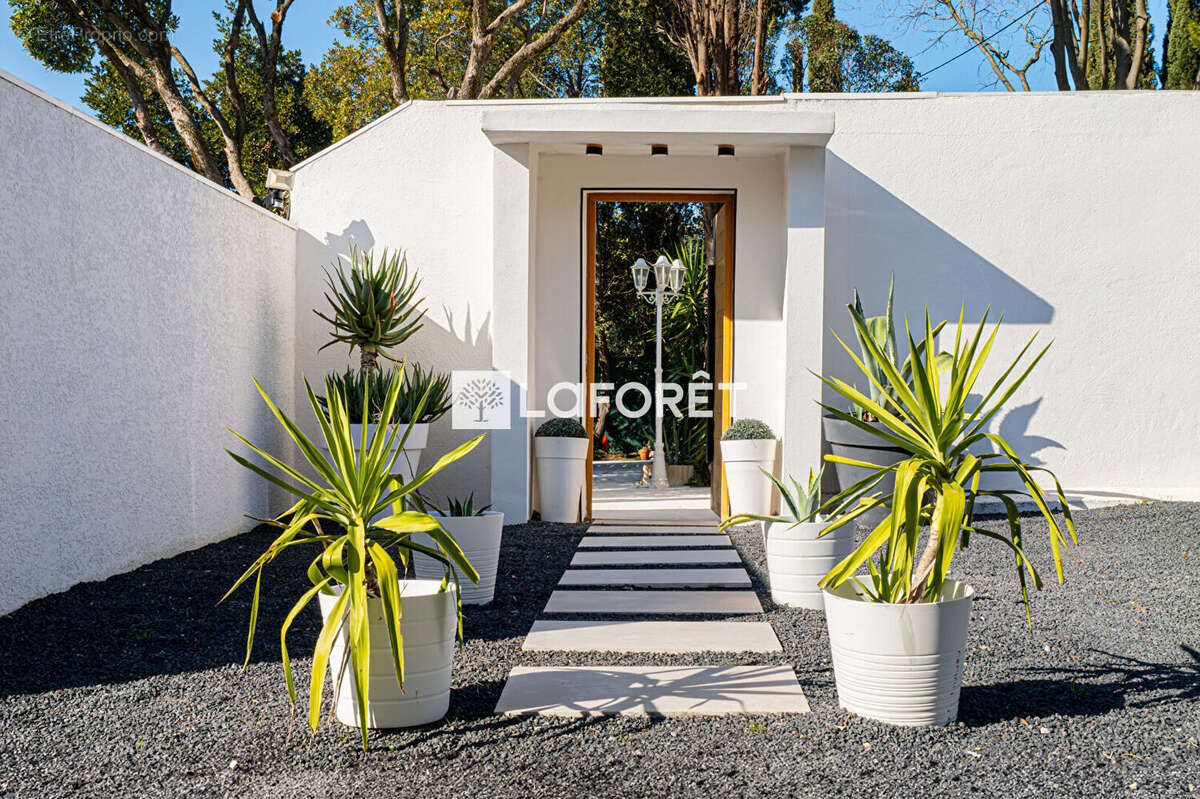 Maison à MONTPELLIER