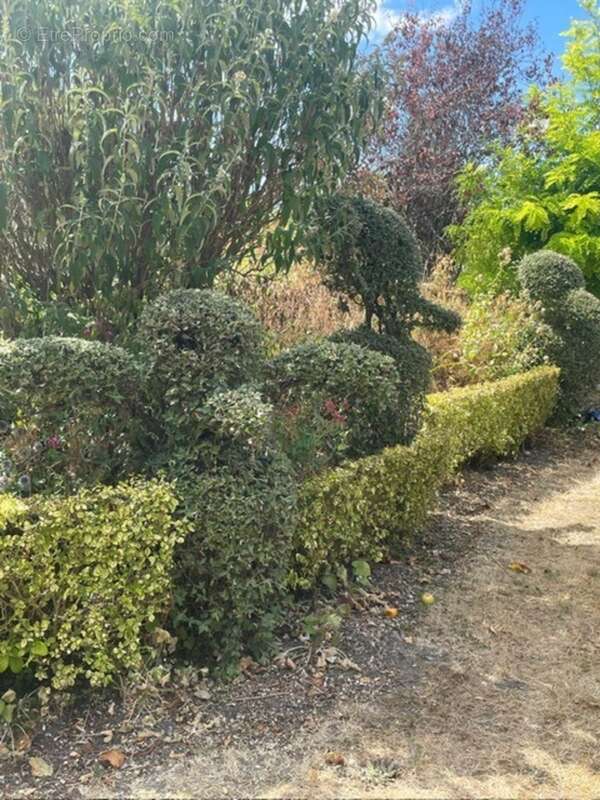 Maison à vendre 6 pièces CHILLEURS AUX BOIS (45) - photo 23