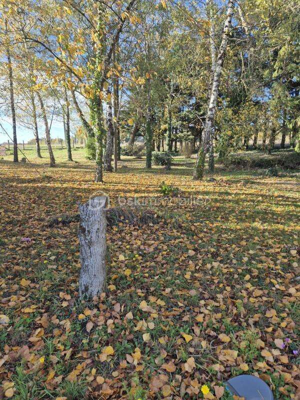 Maison à VILLIERS-AU-BOUIN