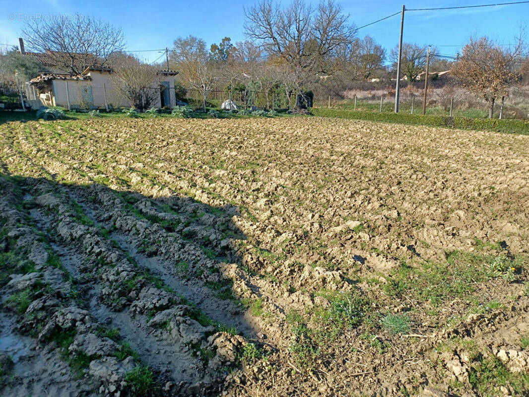 Terrain à SAINT-PAUL-SUR-SAVE